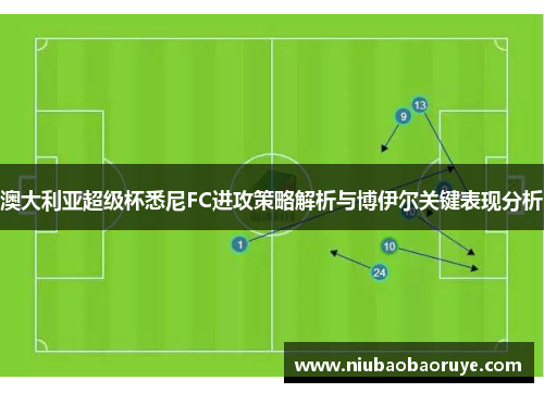 澳大利亚超级杯悉尼FC进攻策略解析与博伊尔关键表现分析